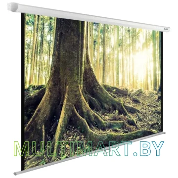 Проекционный экран CACTUS WallExpert 220x220 (CS-PSWE-220x220-WT)
